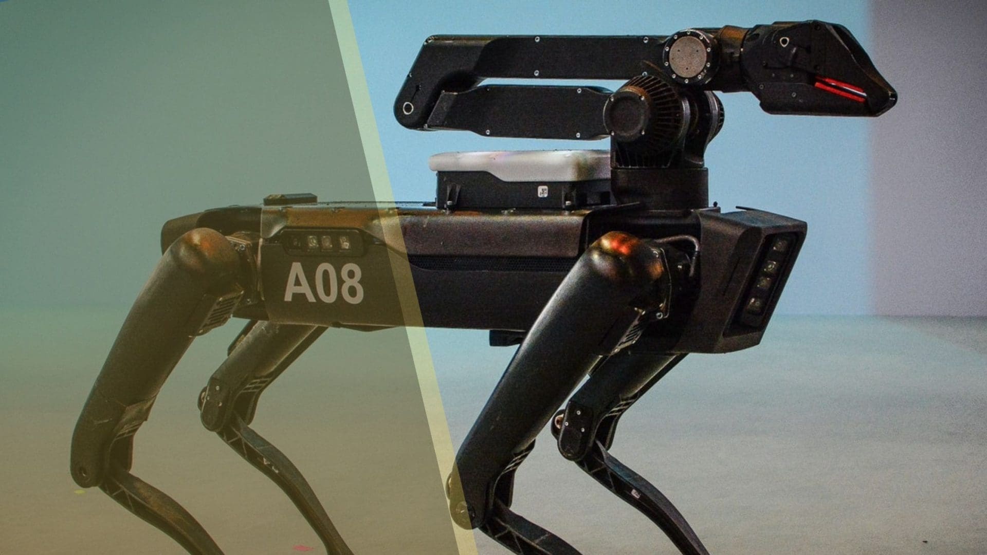 The Rise Of The Robotic Working Dog (6)